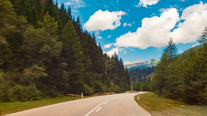 Alpine summer view at Kalser Glocknerstrasse High Alpine Road, Kals am Gro&szlig;glockner, Lienz, Eastern Tyrol, Austria