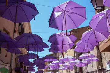Purple umbrellas hanging over street installation