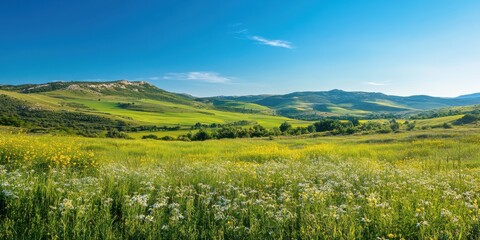 Fototapeta premium Green Valley with Rolling Hills and Wildflowers Under a Clear Blue Sky