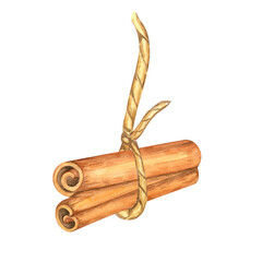 Two cinnamon sticks tied with a rustic string. Spice for baking. Isolated watercolor clipart. Suitable for food packaging, spice product branding, or eco-friendly merchandise designs