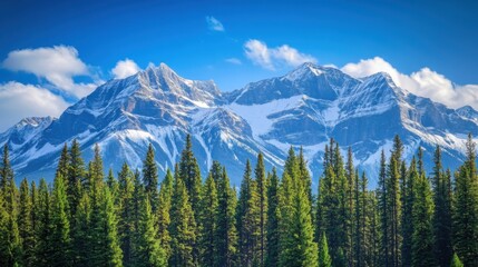 Fototapeta premium Snowy Mountain Range with Clear Blue Skies and a Foreground of Pine Trees