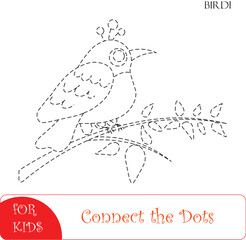 Connect the Dots Birdi