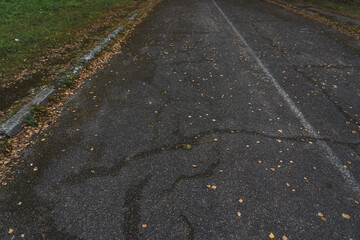 The old autumn Road. An old paved road sprinkled with dry leaves. Autumn Road