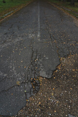 The old autumn Road. An old paved road sprinkled with dry leaves. Autumn Road