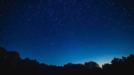 Fototapeta premium night sky with stars