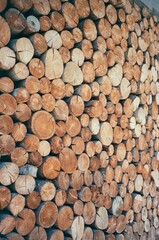 stack of firewood