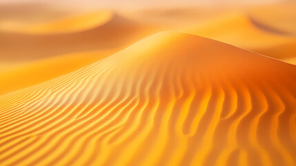 An aerial view of the Sahara desert at sunset. A panorama of desert landscape.