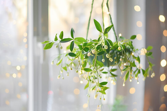 Mistletoe decoration on New Year's Eve