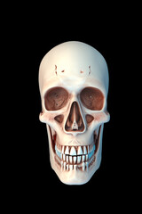 Obraz premium human skull isolated on black