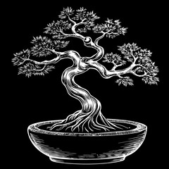  bonsai tree