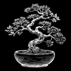  bonsai tree