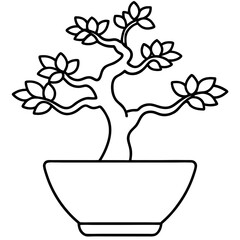  bonsai tree