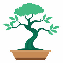  bonsai tree