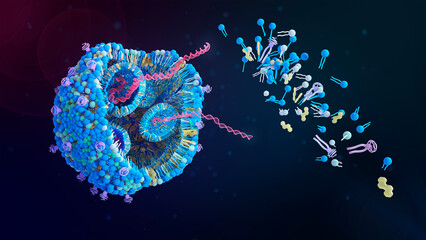 Lipid nanoparticle (LNP) with DNA inside. LNPs are promising vehicles to deliver a variety of therapeutics. It is used in COVID-19 mRNA vaccines or cancer immunotherapy. 3d conceptual illustration.
