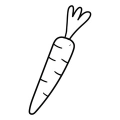 Hand drawn doodle carrot on white background.