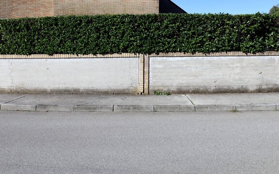 House fence made of prefab concrete wall bordered by a row of bricks and hedge on top . Brick wall and sky on behind. Cement sidewalk and street in front. Background for copy space..
