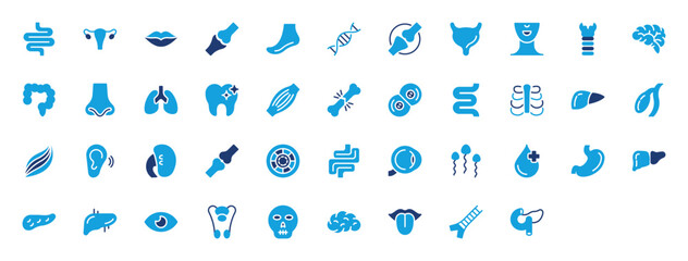 Human Organs set of blue icons. Human Organs icon. Intestine, Vagina, Lips, Foot, Joint, Dna Strand, Bladder, Brain, Trachea, Lungs, Liver Organ, Nose, Neck, Teeth, Bowels vector illustration. 