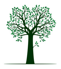 Obraz premium Shape of green Tree with Leaves. Vector outline Illustration.