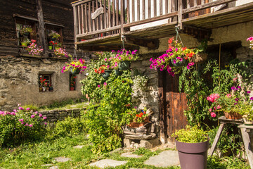 French Alps landscape in summer