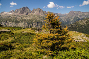 French Alps landscape in summer