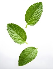 Fresh spearmint leaves falling gracefully, isolated on a clean white background, perfect for culinary, wellness, or natural product designs.