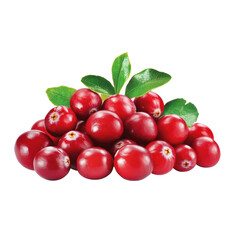 Fresh Red Cranberries Pile isolated on white or transparent background, png clipart, design element. Easy to place on any other background.