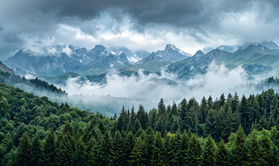 Fototapeta premium Fog is covering the mountain peaks on a cloudy day