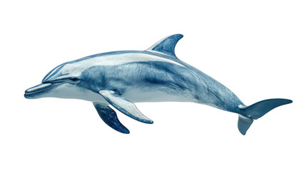 Dolphin fish isolated on white transparent