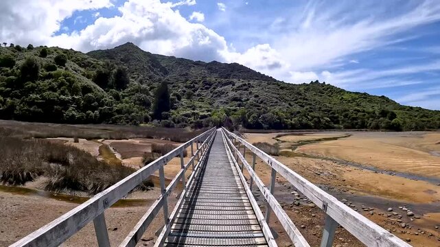 Serene Suspension Bridge Amidst Lush Wetlands in Abel Tasman National Park, New Zealand's Scenic Coastal Landscape