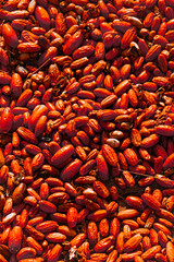 background of seeds