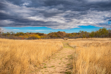 Autumn colours on a prairie hike