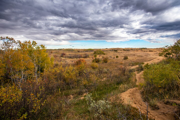 Autumn colours on a prairie hike