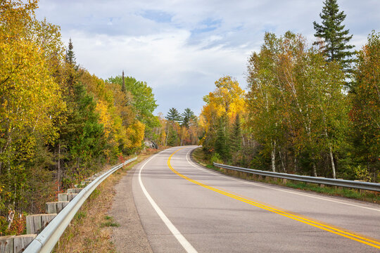 Curving road among trees in autumn color near Ely Minnesota on a bright afternoon