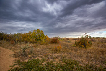 Saskatchewan sand dunes in autumn