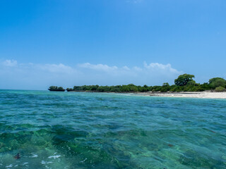 Beach on the Kwale Island, Zanzibar