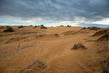 Saskatchewan sand dunes in autumn