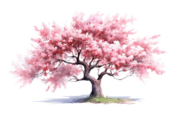 PNG Tree blossom flower plant.