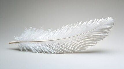 Obraz premium Minimalist white feather floating in clean studio space,elegant and serene still life concept. Wispy,delicate plume against simple gray background,capturing the soft.