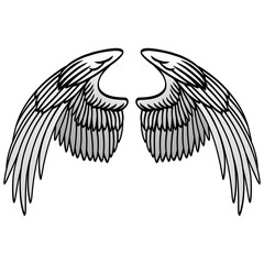 Angels Wings Bird Wing Vector Illustration Drawing 