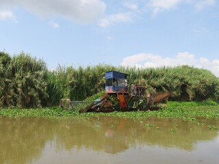 Fototapeta premium tractor working in the pond, cleaning it from plants