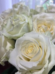 white roses bouquet
