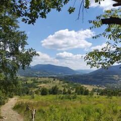 landscape with trees and clouds