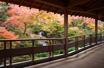 【兵庫県】姫路市・好古園の紅葉