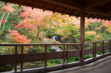 【兵庫県】姫路市・好古園の紅葉