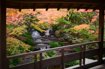 【兵庫県】姫路市・好古園の紅葉