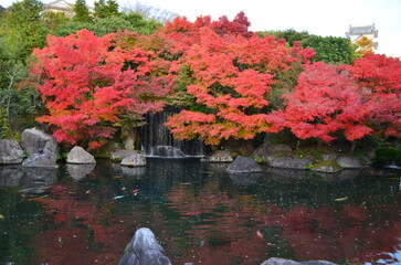 【兵庫県】姫路市・好古園の紅葉