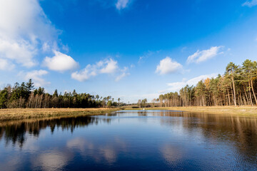 Lake in the Forest with Pier and Cloudy Sky