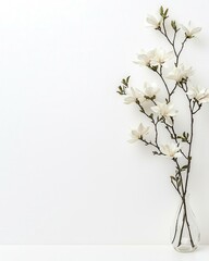 Elegant Single Flower in Vase on White Surface with Vast Copy Space for Minimalist Design