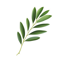 A vibrant green olive branch on a white isolated background, symbolizing peace and prosperity.