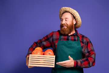 Photo of positive man farmer wear plaid uniform hold box fresh autumn season pumpkin isolated on...